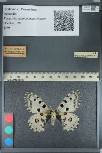 Media type: image;   Entomology 175009